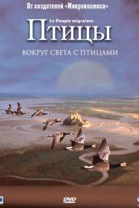 Птицы (фильм 2001) онлайн