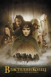 Властелин колец: Братство кольца (фильм 2001)