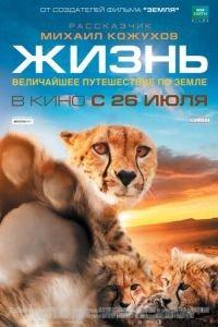 Жизнь (фильм 2011) онлайн