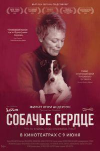 Собачье сердце (фильм 2015) онлайн