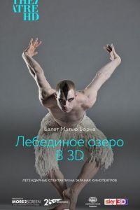 Мэтью Борн: Лебединое озеро 3D (фильм 2012) онлайн