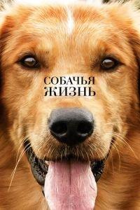 Собачья жизнь (фильм 2017) онлайн