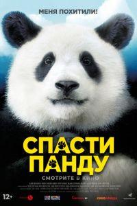 Спасти панду (фильм 2020) онлайн