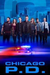 Полиция Чикаго (сериал)