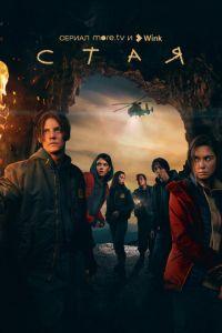 Стая (сериал)